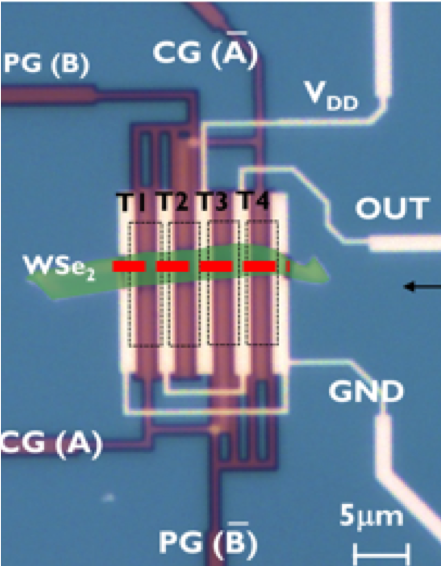 WSE2nanowiress