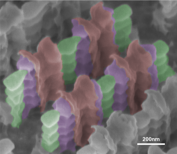 nanowires